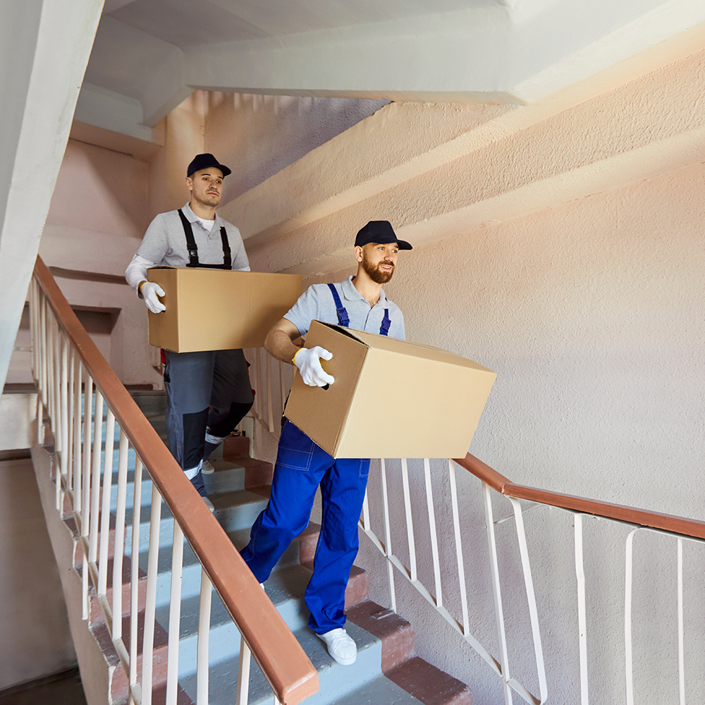 Professional movers packing and transporting items in Los Angeles